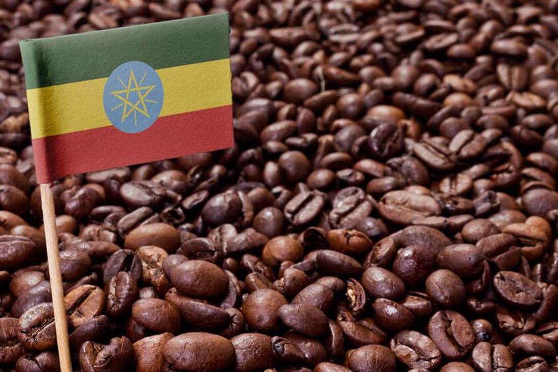 BEN COFFEE CO ÇEKİRDEKLERİ : ETİYOPYA 